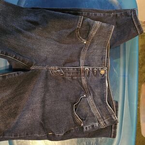 Lane Bryant Dark Blue Skinny Jeans
